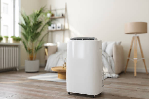 Best Air Filters and Purifiers in Menasha, WI